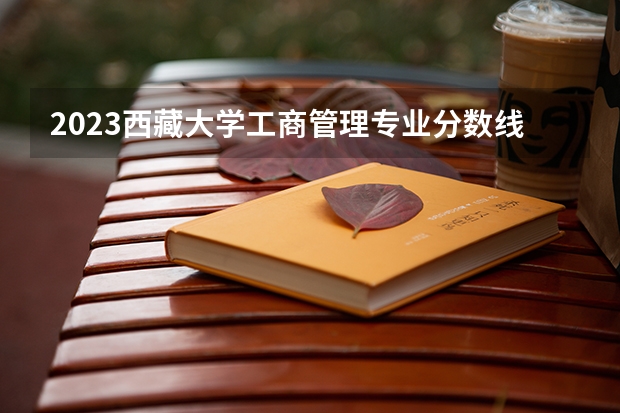 2023西藏大学工商管理专业分数线是多少 工商管理专业历年分数线总汇