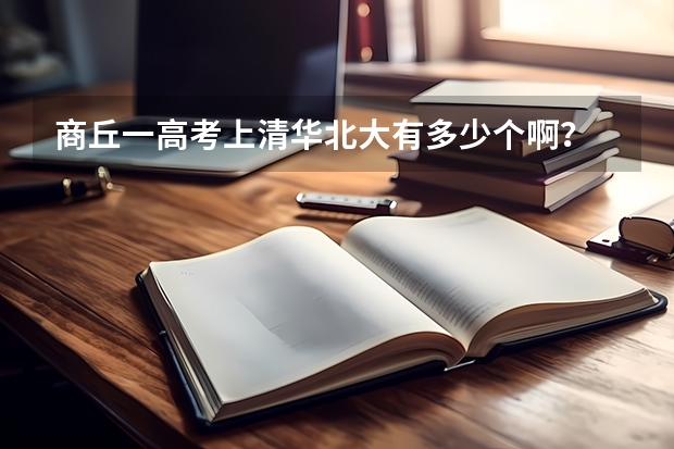 商丘一高考上清华北大有多少个啊？