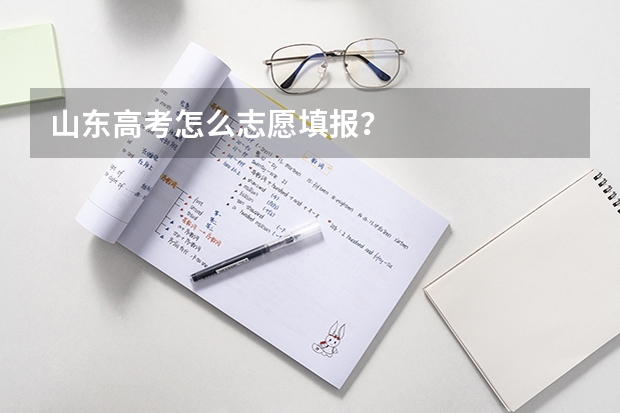 山东高考怎么志愿填报？