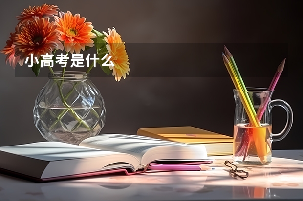 小高考是什么