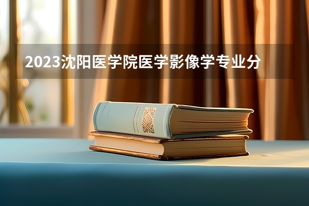 2023沈阳医学院医学影像学专业分数线是多少 医学影像学专业历年分数线总汇