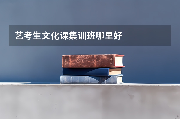 艺考生文化课集训班哪里好