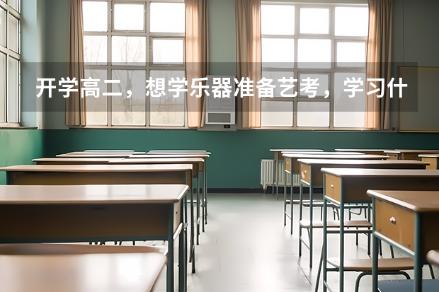 开学高二，想学乐器准备艺考，学习什么乐器比较容易？