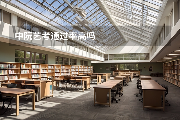 中阮艺考通过率高吗