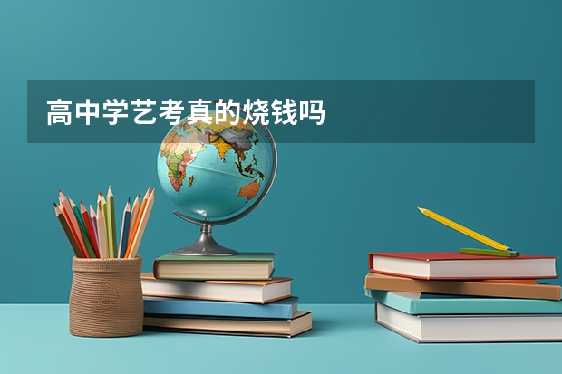 高中学艺考真的烧钱吗