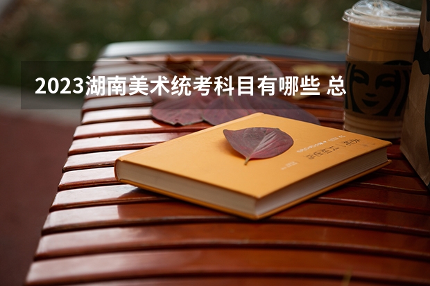2023湖南美术统考科目有哪些 总分多少分