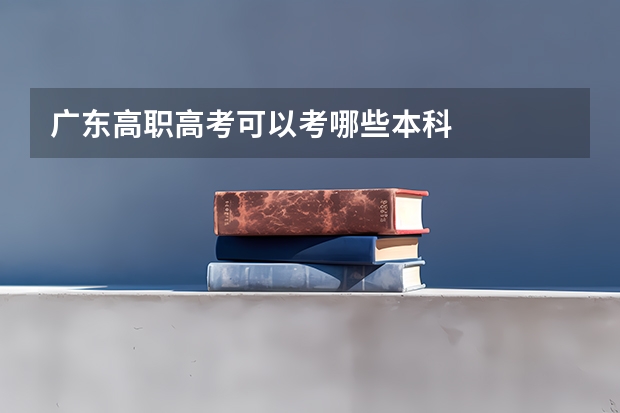 广东高职高考可以考哪些本科