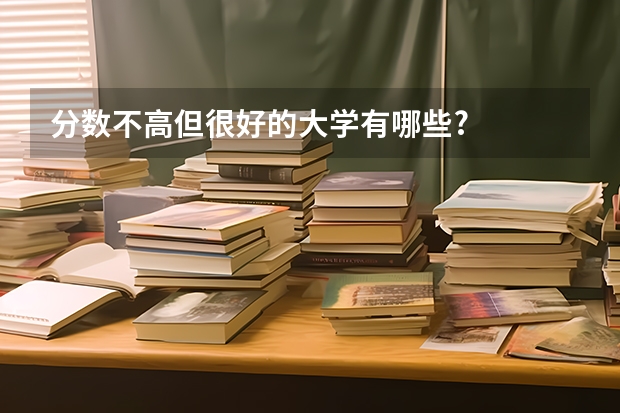 分数不高但很好的大学有哪些?