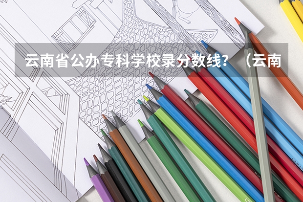 云南省公办专科学校录分数线？（云南省专科学校排名）