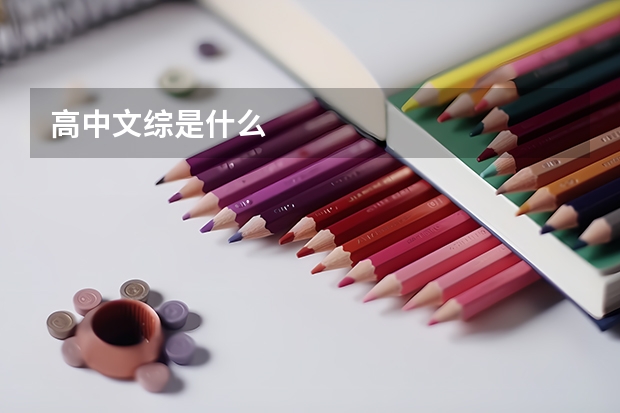 高中文综是什么