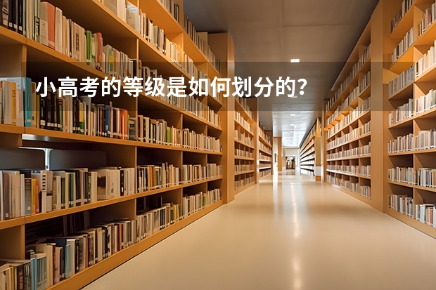 小高考的等级是如何划分的？