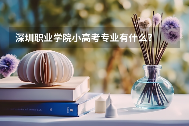 深圳职业学院小高考专业有什么?