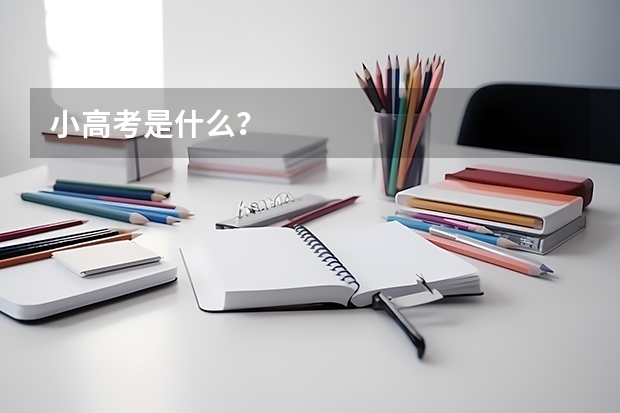 小高考是什么？