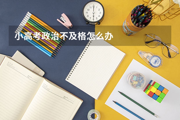 小高考政治不及格怎么办