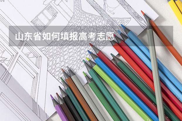 山东省如何填报高考志愿