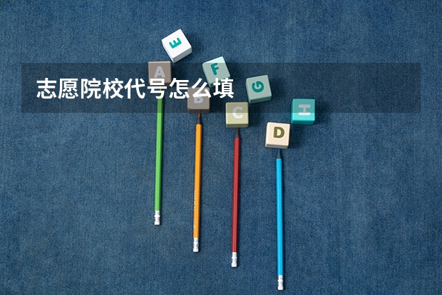 志愿院校代号怎么填