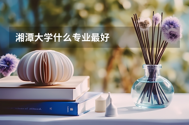 湘潭大学什么专业最好
