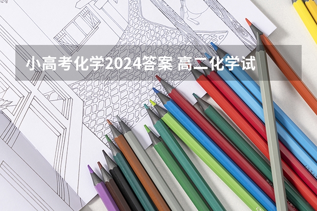 小高考化学2024答案 高二化学试题和答案整理归纳