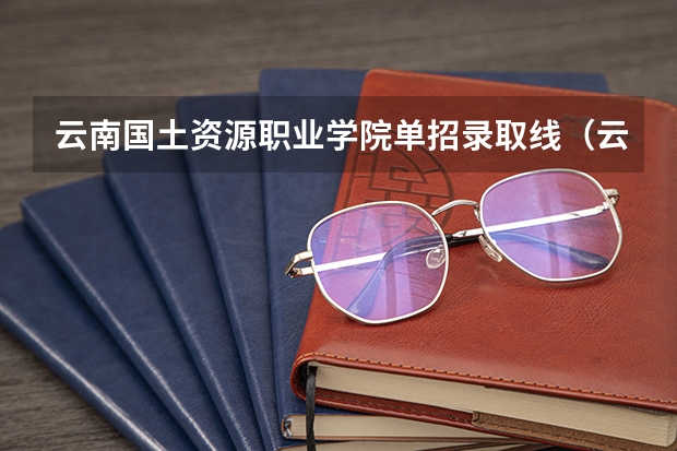 云南国土资源职业学院单招录取线（云南财经职业学院高职单招分数）