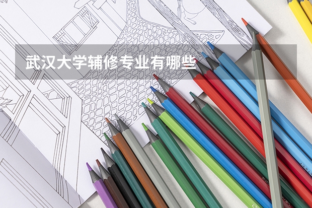 武汉大学辅修专业有哪些