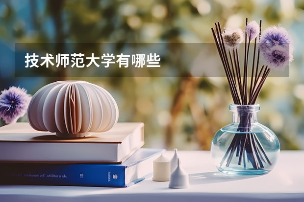 技术师范大学有哪些