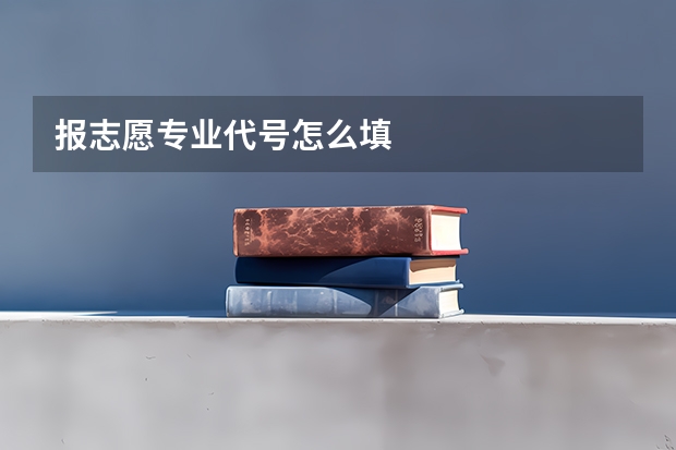 报志愿专业代号怎么填