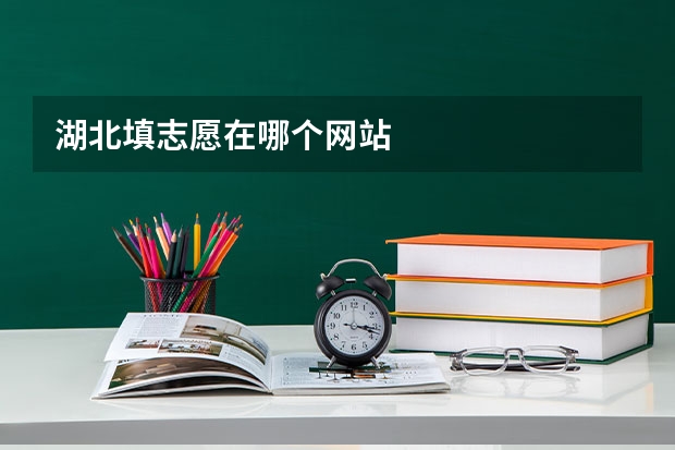 湖北填志愿在哪个网站