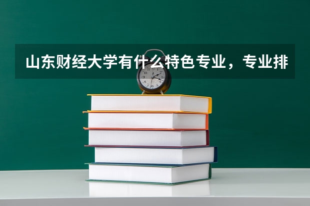 山东财经大学有什么特色专业，专业排名如何