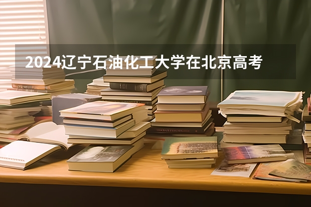 2024辽宁石油化工大学在北京高考专业招生计划人数预测
