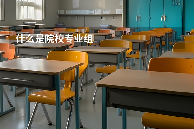 什么是院校专业组