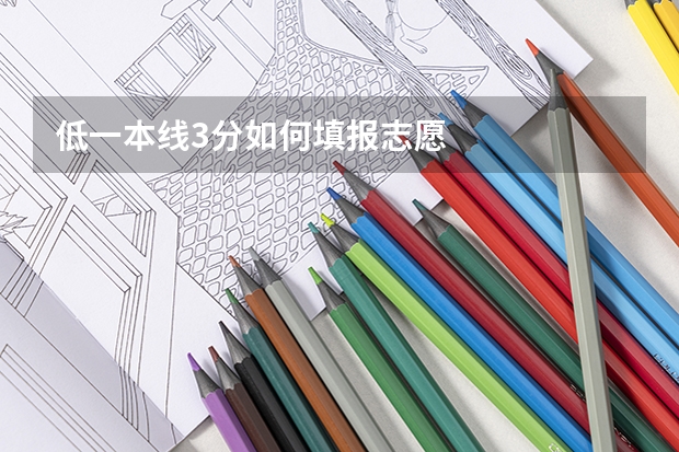 低一本线3分如何填报志愿