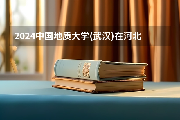 2024中国地质大学(武汉)在河北高考专业招生计划人数预测