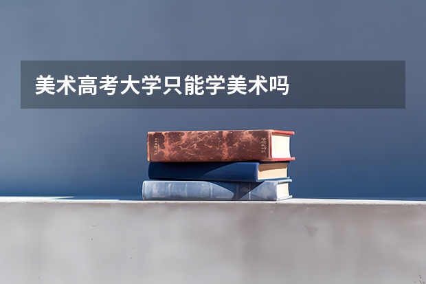 美术高考大学只能学美术吗