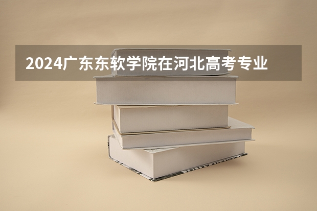 2024广东东软学院在河北高考专业招生计划人数预测