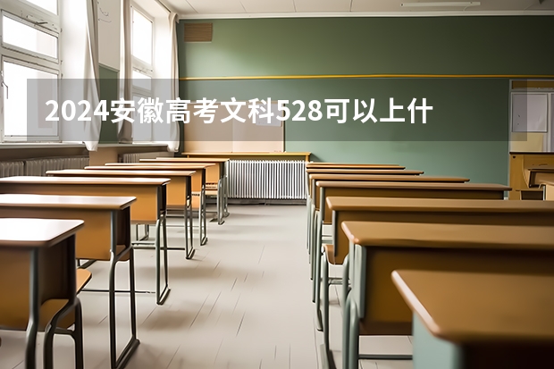 2024安徽高考文科528可以上什么大学