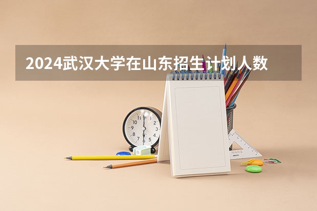 2024武汉大学在山东招生计划人数