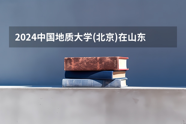 2024中国地质大学(北京)在山东招生计划人数