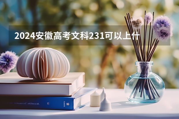 2024安徽高考文科231可以上什么大学