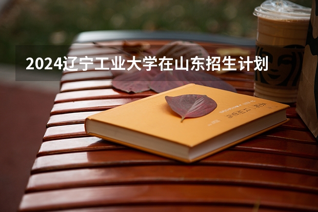 2024辽宁工业大学在山东招生计划人数