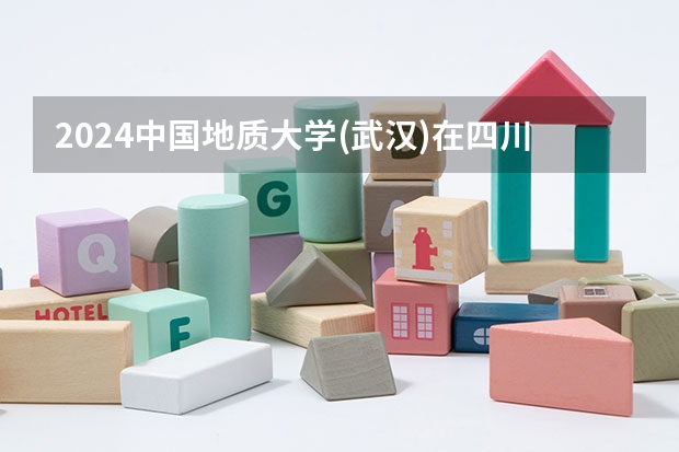 2024中国地质大学(武汉)在四川招生计划人数