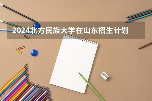 2024北方民族大学在山东招生计划人数