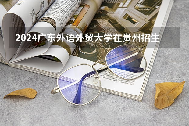 2024广东外语外贸大学在贵州招生计划人数