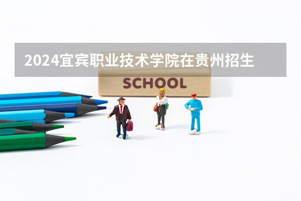2024宜宾职业技术学院在贵州招生计划人数