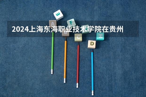 2024上海东海职业技术学院在贵州招生计划人数