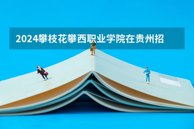 2024攀枝花攀西职业学院在贵州招生计划人数