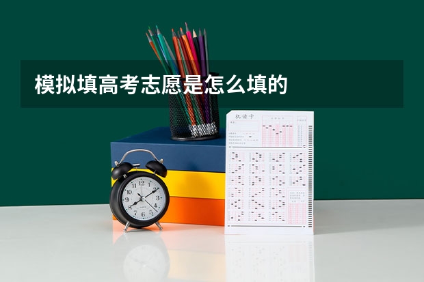 模拟填高考志愿是怎么填的
