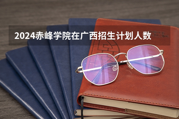 2024赤峰学院在广西招生计划人数