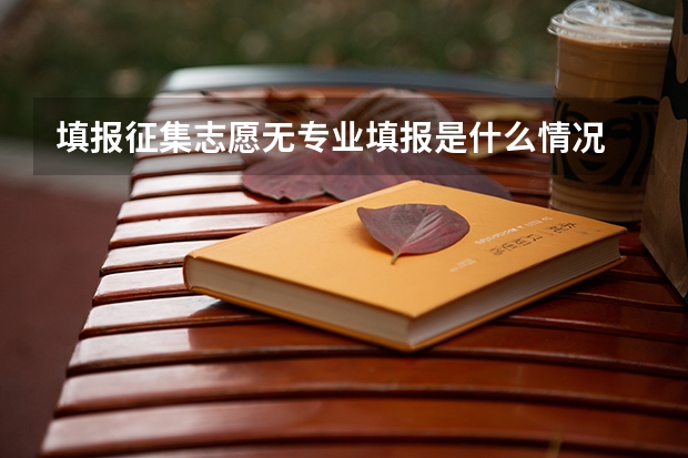 填报征集志愿无专业填报是什么情况