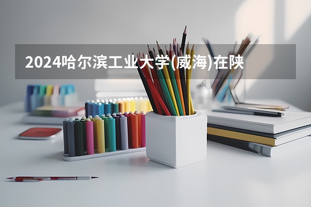 2024哈尔滨工业大学(威海)在陕西招生计划人数