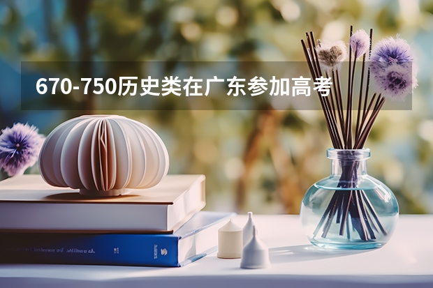 670-750历史类在广东参加高考可以上什么大学
